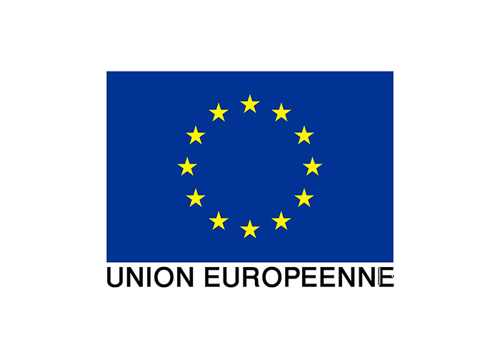 Union Européenne drapeau logo